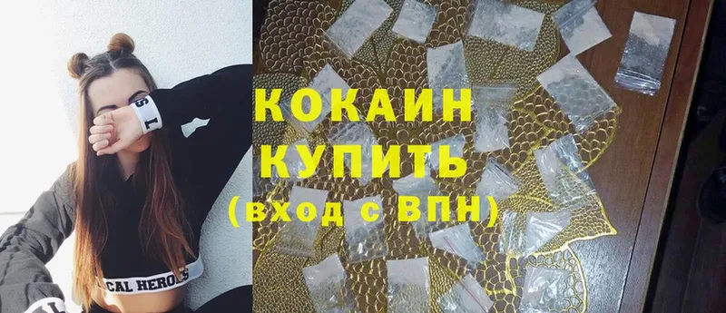 Cocaine FishScale  Ковылкино 