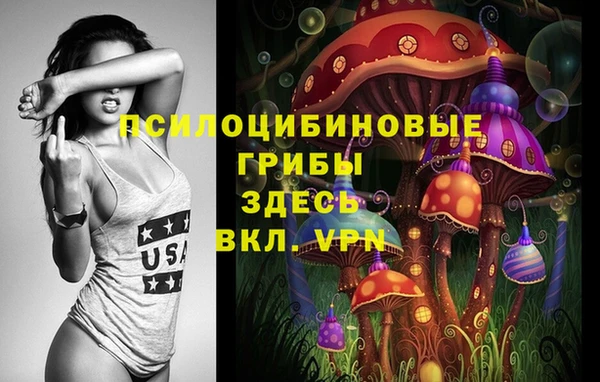 хмурый Протвино
